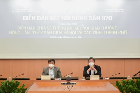 Giá heo, gà xuống thấp, Hà Nội lo thiếu thực phẩm dịp tết - Ảnh 1. Giá heo, gà xuống thấp, Hà Nội lo thiếu thực phẩm dịp tết - Ảnh 1.