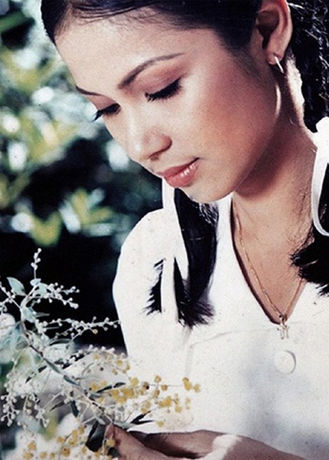 viet trinh viet trinh