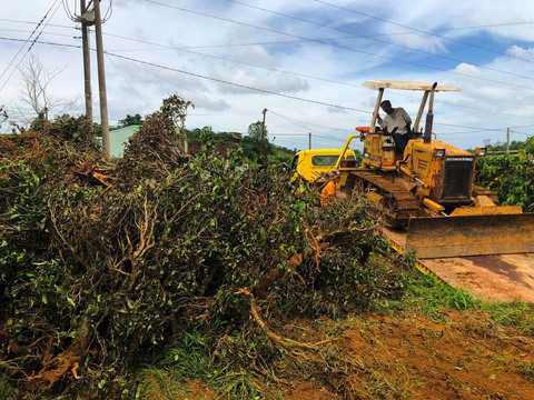 Xé nát vùng chè Bảo Lộc: Bắt đầu giám định hiện trường trong 10 ngày - Ảnh 4. Xé nát vùng chè Bảo Lộc: Bắt đầu giám định hiện trường trong 10 ngày - Ảnh 4.