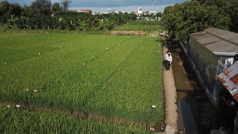 Bộ trưởng Lê Minh Hoan: Rồi mọi chuyện sẽ qua! - Ảnh 8. Bộ trưởng Lê Minh Hoan: Rồi mọi chuyện sẽ qua! - Ảnh 8.