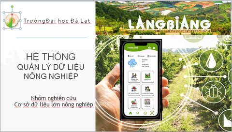 Lạc Dương xây dựng hệ thống quản lý nông nghiệp thông minh - Ảnh 3. Lạc Dương xây dựng hệ thống quản lý nông nghiệp thông minh - Ảnh 3.