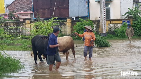 Tất tả chạy lũ vẫn tuân thủ 5K - Ảnh 6. Tất tả chạy lũ vẫn tuân thủ 5K - Ảnh 6.