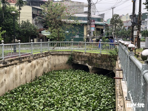 Giám đốc Sở Xây dựng Quảng Ngãi nói gì về trận ngập kỷ lục của TP Quảng Ngãi? - Ảnh 7. Giám đốc Sở Xây dựng Quảng Ngãi nói gì về trận ngập kỷ lục của TP Quảng Ngãi? - Ảnh 7.