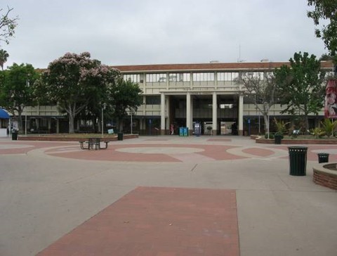 Số lượng sinh viên học đại học ở Mỹ giảm kỷ lục - Ảnh 1. Số lượng sinh viên học đại học ở Mỹ giảm kỷ lục - Ảnh 1.