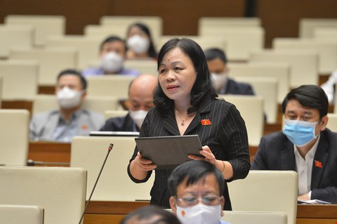 Thảo luận cơ chế đặc thù từng địa phương, đại biểu nói cần cơ chế toàn vùng - Ảnh 2. Thảo luận cơ chế đặc thù từng địa phương, đại biểu nói cần cơ chế toàn vùng - Ảnh 2.