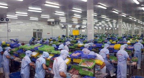 Nhiều ổ dịch tại nhà máy thủy sản, miền Tây ứng phó ra sao? - Ảnh 2. Nhiều ổ dịch tại nhà máy thủy sản, miền Tây ứng phó ra sao? - Ảnh 2.