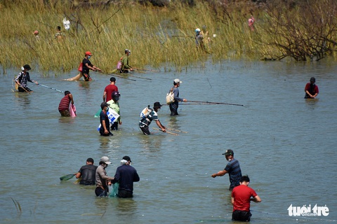 Người dân tranh nhau quăng chài, thả lưới bắt cá khủng dưới chân đập thủy điện Trị An - Ảnh 4. Người dân tranh nhau quăng chài, thả lưới bắt cá khủng dưới chân đập thủy điện Trị An - Ảnh 4.
