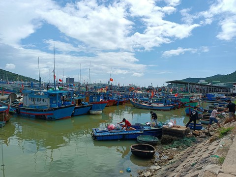 Giá xăng dầu tăng cao, tàu cá nằm bờ - Ảnh 1. Giá xăng dầu tăng cao, tàu cá nằm bờ - Ảnh 1.