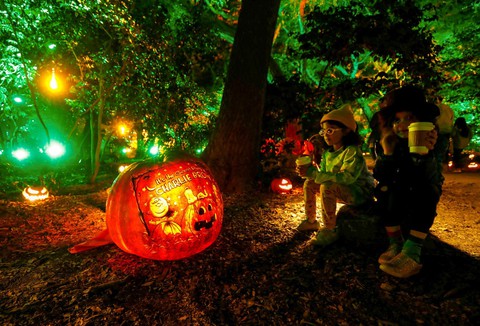 Đủ sắc màu thế giới mừng lễ hội hóa trang Halloween - Ảnh 4. Đủ sắc màu thế giới mừng lễ hội hóa trang Halloween - Ảnh 4.