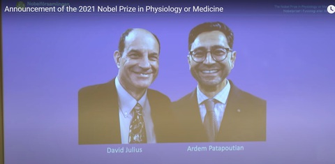 Nobel Y sinh vinh danh 2 nhà khoa học Mỹ khám phá về nhiệt độ và xúc giác - Ảnh 1. Nobel Y sinh vinh danh 2 nhà khoa học Mỹ khám phá về nhiệt độ và xúc giác - Ảnh 1.