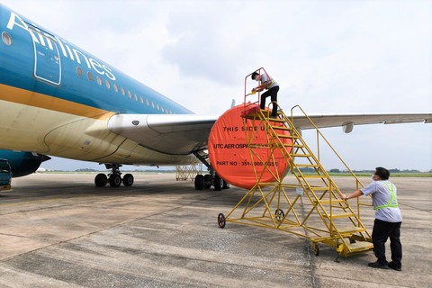 Dự kiến từ ngày 10-10 bay nội địa giữa 9 tỉnh, thành - Ảnh 1. Dự kiến từ ngày 10-10 bay nội địa giữa 9 tỉnh, thành - Ảnh 1.