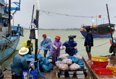 Quảng Nam: Miền núi yêu cầu sơ tán dân, suối bắt đầu chảy xiết - Ảnh 3. Quảng Nam: Miền núi yêu cầu sơ tán dân, suối bắt đầu chảy xiết - Ảnh 3.