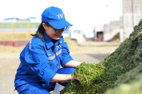 Tập đoàn TH: Nơi làm việc tốt nhất châu Á năm 2021 - Ảnh 4. Tập đoàn TH: Nơi làm việc tốt nhất châu Á năm 2021 - Ảnh 4.