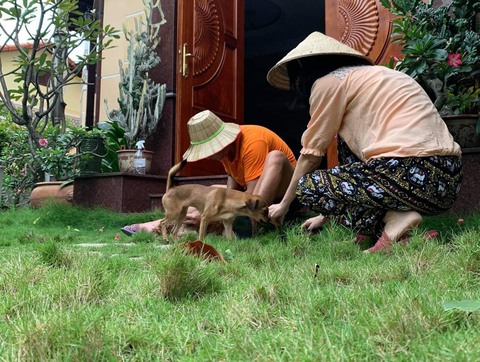 Tan hạnh phúc vì chồng lười - Ảnh 1. Tan hạnh phúc vì chồng lười - Ảnh 1.