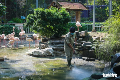 Thảo cầm viên dọn mình chờ ngày mở cửa 5-11 - Ảnh 5. Thảo cầm viên dọn mình chờ ngày mở cửa 5-11 - Ảnh 5.