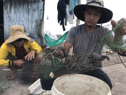 Nuôi cá tôm mùa nước nổi - Ảnh 2. Nuôi cá tôm mùa nước nổi - Ảnh 2.