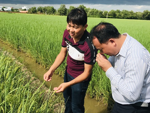 Tròn 2 năm ST25 lên ngôi vương, ông Hồ Quang Cua trằn trọc lo không được thi tiếp - Ảnh 2. Tròn 2 năm ST25 lên ngôi vương, ông Hồ Quang Cua trằn trọc lo không được thi tiếp - Ảnh 2.