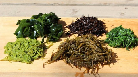 3 bước để bảo vệ người cao tuổi trước bệnh truyền nhiễm theo mùa - Ảnh 3. 3 bước để bảo vệ người cao tuổi trước bệnh truyền nhiễm theo mùa - Ảnh 3.