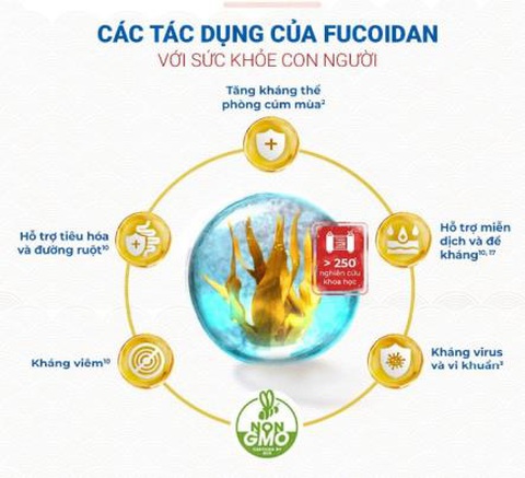3 bước để bảo vệ người cao tuổi trước bệnh truyền nhiễm theo mùa - Ảnh 4. 3 bước để bảo vệ người cao tuổi trước bệnh truyền nhiễm theo mùa - Ảnh 4.