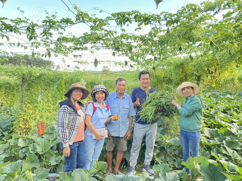 Bỏ phố về vườn - Kỳ 1: Trở về theo tiếng gọi nơi hoang dã - Ảnh 1. Bỏ phố về vườn - Kỳ 1: Trở về theo tiếng gọi nơi hoang dã - Ảnh 1.