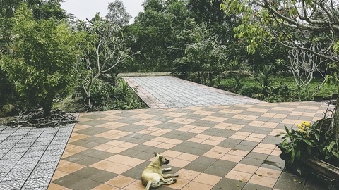 Cuộc thi Nhà tôi - Mái ấm: Giữ chút gì rất Huế... - Ảnh 3. Cuộc thi Nhà tôi - Mái ấm: Giữ chút gì rất Huế... - Ảnh 3.