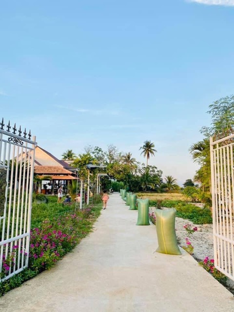 Cuộc thi Nhà tôi - Mái ấm: Nhà có năm con vịt trời - Ảnh 8. Cuộc thi Nhà tôi - Mái ấm: Nhà có năm con vịt trời - Ảnh 8.