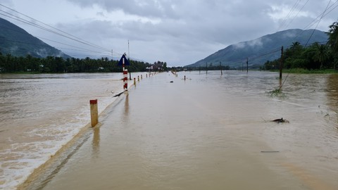 Bờ sông sạt lở uy hiếp nhà dân ở Bình Định, chủ tịch tỉnh trực tiếp chỉ đạo khắc phục - Ảnh 4. Bờ sông sạt lở uy hiếp nhà dân ở Bình Định, chủ tịch tỉnh trực tiếp chỉ đạo khắc phục - Ảnh 4.