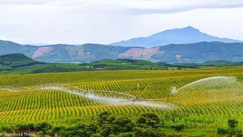 Anh hùng Lao động Thái Hương được tôn vinh tại chương trình Vinh quang Việt Nam - Ảnh 3. Anh hùng Lao động Thái Hương được tôn vinh tại chương trình Vinh quang Việt Nam - Ảnh 3.