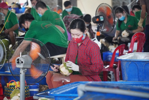 Dịch ổn, hàng ngàn lao động đã quay trở lại TP.HCM mưu sinh - Ảnh 2. Dịch ổn, hàng ngàn lao động đã quay trở lại TP.HCM mưu sinh - Ảnh 2.
