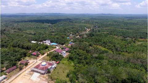 Indonesia muốn khởi công nhanh thủ đô mới hơn 30 tỉ USD - Ảnh 2. Indonesia muốn khởi công nhanh thủ đô mới hơn 30 tỉ USD - Ảnh 2.