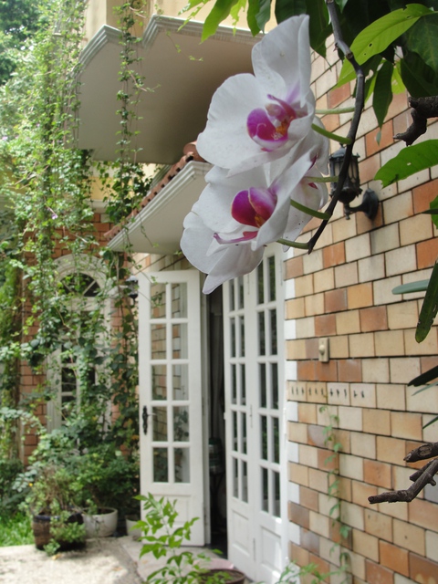 Cuộc thi Nhà tôi - Mái ấm: Cảm ơn đời mỗi sớm mai thức dậy - Ảnh 1. Cuộc thi Nhà tôi - Mái ấm: Cảm ơn đời mỗi sớm mai thức dậy - Ảnh 1.