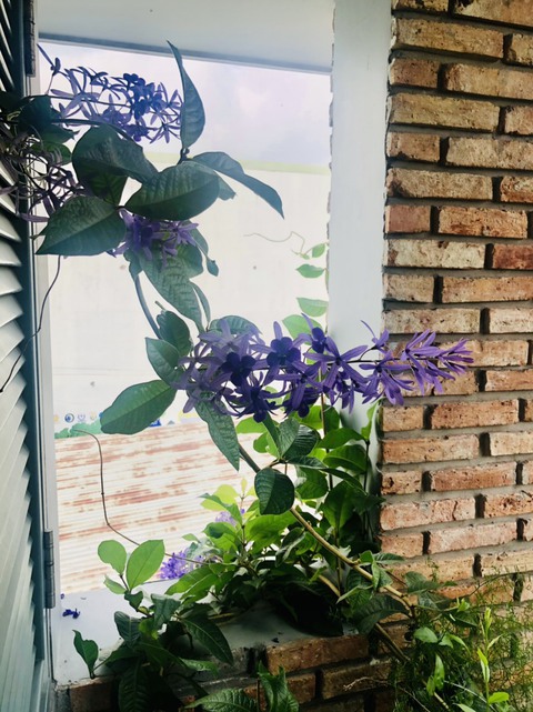 Cuộc thi Nhà tôi - Mái ấm: Sân nhà của miền xanh và nắng ngời - Ảnh 2. Cuộc thi Nhà tôi - Mái ấm: Sân nhà của miền xanh và nắng ngời - Ảnh 2.