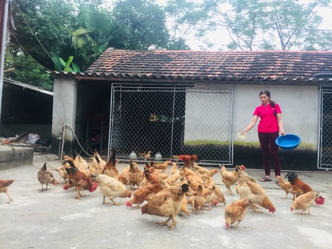 nha nong 1 nha nong 1