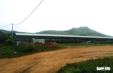 Hai cựu lãnh đạo doanh nghiệp liên quan đến dự án trại bò đầy tai tiếng ở Hà Tĩnh lãnh án - Ảnh 3. Hai cựu lãnh đạo doanh nghiệp liên quan đến dự án trại bò đầy tai tiếng ở Hà Tĩnh lãnh án - Ảnh 3.