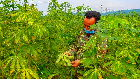 Tiếp sức nhà nông: Giấc mơ đổi đời vùng đồi sỏi - Ảnh 1. Tiếp sức nhà nông: Giấc mơ đổi đời vùng đồi sỏi - Ảnh 1.