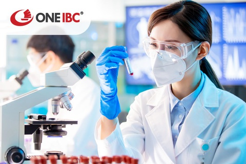 Những lĩnh vực thu hút vốn đầu tư nước ngoài ở Hà Lan - Ảnh 2. Những lĩnh vực thu hút vốn đầu tư nước ngoài ở Hà Lan - Ảnh 2.