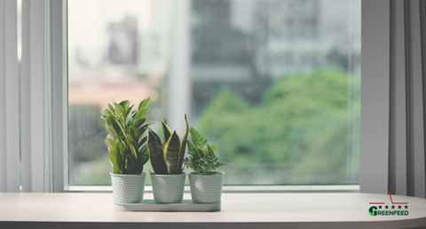 Ấn tượng với cách GREENFEED đón nhân viên trở lại hậu giãn cách - Ảnh 1. Ấn tượng với cách GREENFEED đón nhân viên trở lại hậu giãn cách - Ảnh 1.