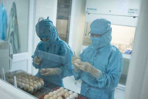 Bệnh cúm - Kỳ 4: Vắc xin cúm ra đời trong Thế chiến thứ 2 như thế nào? - Ảnh 3. Bệnh cúm - Kỳ 4: Vắc xin cúm ra đời trong Thế chiến thứ 2 như thế nào? - Ảnh 3.