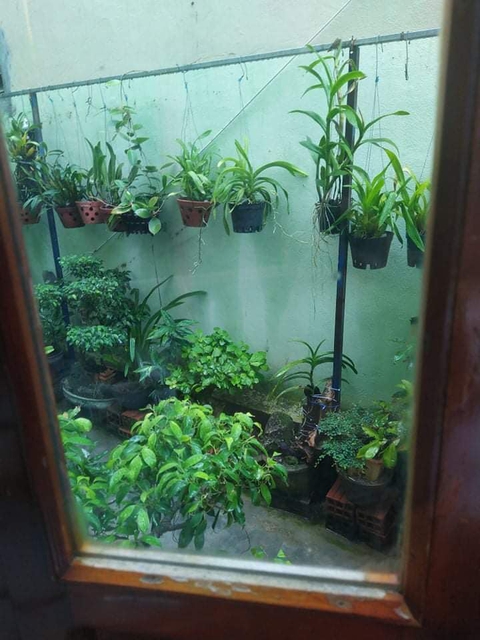 Cuộc thi Nhà tôi - Mái ấm: Ngôi nhà tiếp cận và khoảng trời xanh - Ảnh 6. Cuộc thi Nhà tôi - Mái ấm: Ngôi nhà tiếp cận và khoảng trời xanh - Ảnh 6.