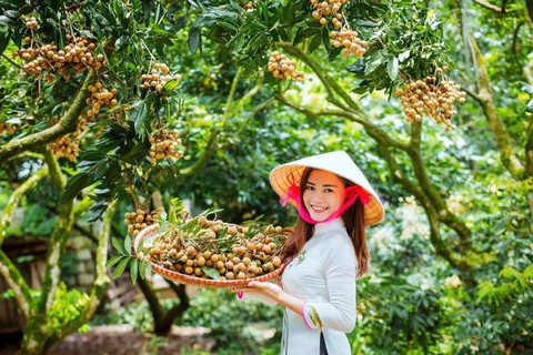 Nhiều loại trái cây sắp được xuất chính ngạch sang Mỹ, Nhật, Trung Quốc - Ảnh 1. Nhiều loại trái cây sắp được xuất chính ngạch sang Mỹ, Nhật, Trung Quốc - Ảnh 1.