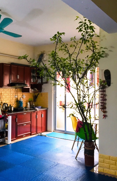 Cuộc thi Nhà tôi - Mái ấm: Dưới mái nhà, hai ta! - Ảnh 2. Cuộc thi Nhà tôi - Mái ấm: Dưới mái nhà, hai ta! - Ảnh 2.