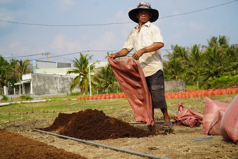 E dè trồng hoa Tết - Ảnh 3. E dè trồng hoa Tết - Ảnh 3.