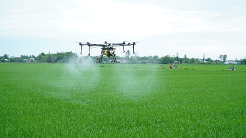 Thuốc bảo vệ thực vật sinh học nâng cao chất lượng nông sản - Ảnh 1. Thuốc bảo vệ thực vật sinh học nâng cao chất lượng nông sản - Ảnh 1.