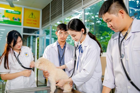 Đầu tư mạnh mẽ cho nhân lực nông nghiệp công nghệ cao - Ảnh 1. Đầu tư mạnh mẽ cho nhân lực nông nghiệp công nghệ cao - Ảnh 1.