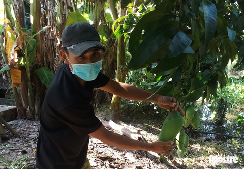 Người lao động hồi hương dùng dằng đi ở - Ảnh 5. Người lao động hồi hương dùng dằng đi ở - Ảnh 5.