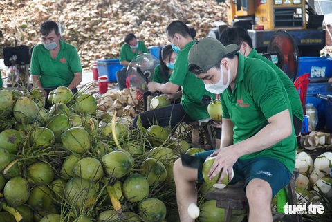 Người lao động hồi hương dùng dằng đi ở - Ảnh 4. Người lao động hồi hương dùng dằng đi ở - Ảnh 4.