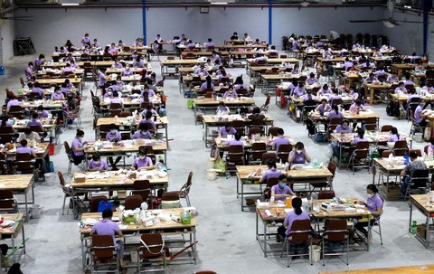 Doanh nghiệp hồng hào trở lại - Ảnh 3. Doanh nghiệp hồng hào trở lại - Ảnh 3.
