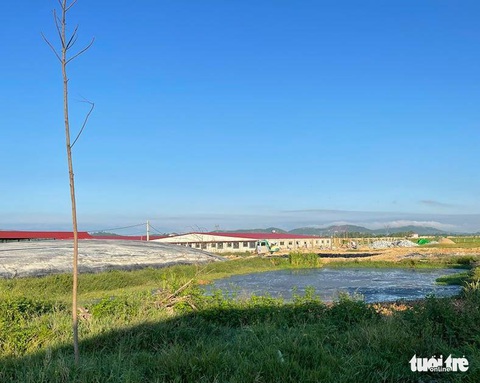 Một công ty có dự án nuôi bò bị phạt 1,25 tỉ đồng vì gây ô nhiễm - Ảnh 1. Một công ty có dự án nuôi bò bị phạt 1,25 tỉ đồng vì gây ô nhiễm - Ảnh 1.