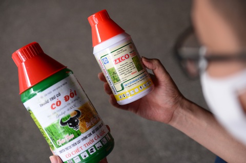 Chất cấm lại rình rập nông sản - Ảnh 1. Chất cấm lại rình rập nông sản - Ảnh 1.