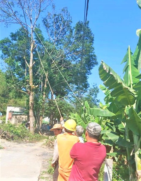 Phát quang hành lang bảo vệ ATLĐ trên địa bàn Quảng Nam - Ảnh 1. Phát quang hành lang bảo vệ ATLĐ trên địa bàn Quảng Nam - Ảnh 1.